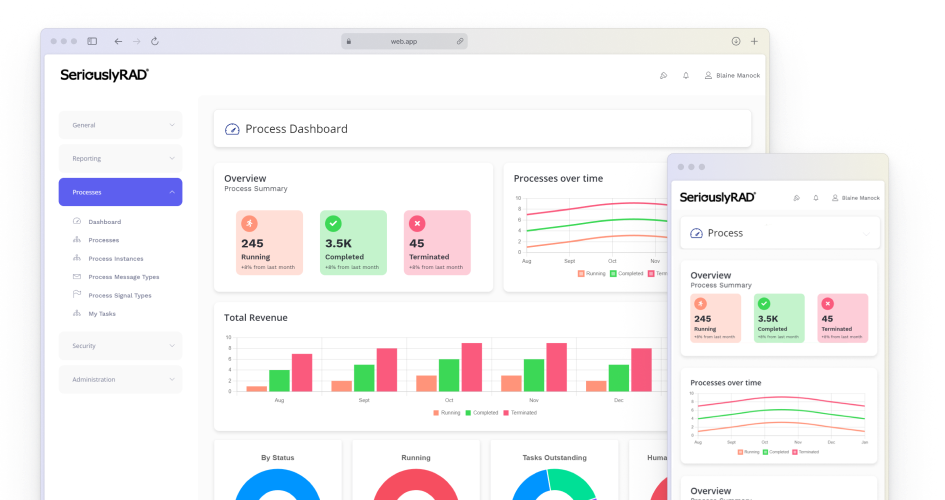 Software Consultancy Service by Seriously RAD