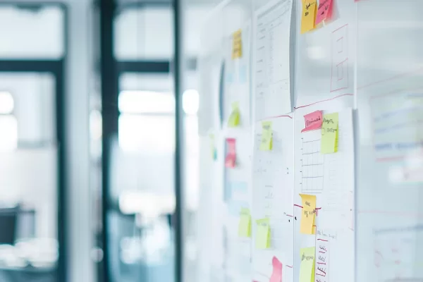 Benefits of Hiring a Software Consultancy